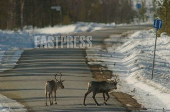 EA065243, Eastpress, Inari, Suomi